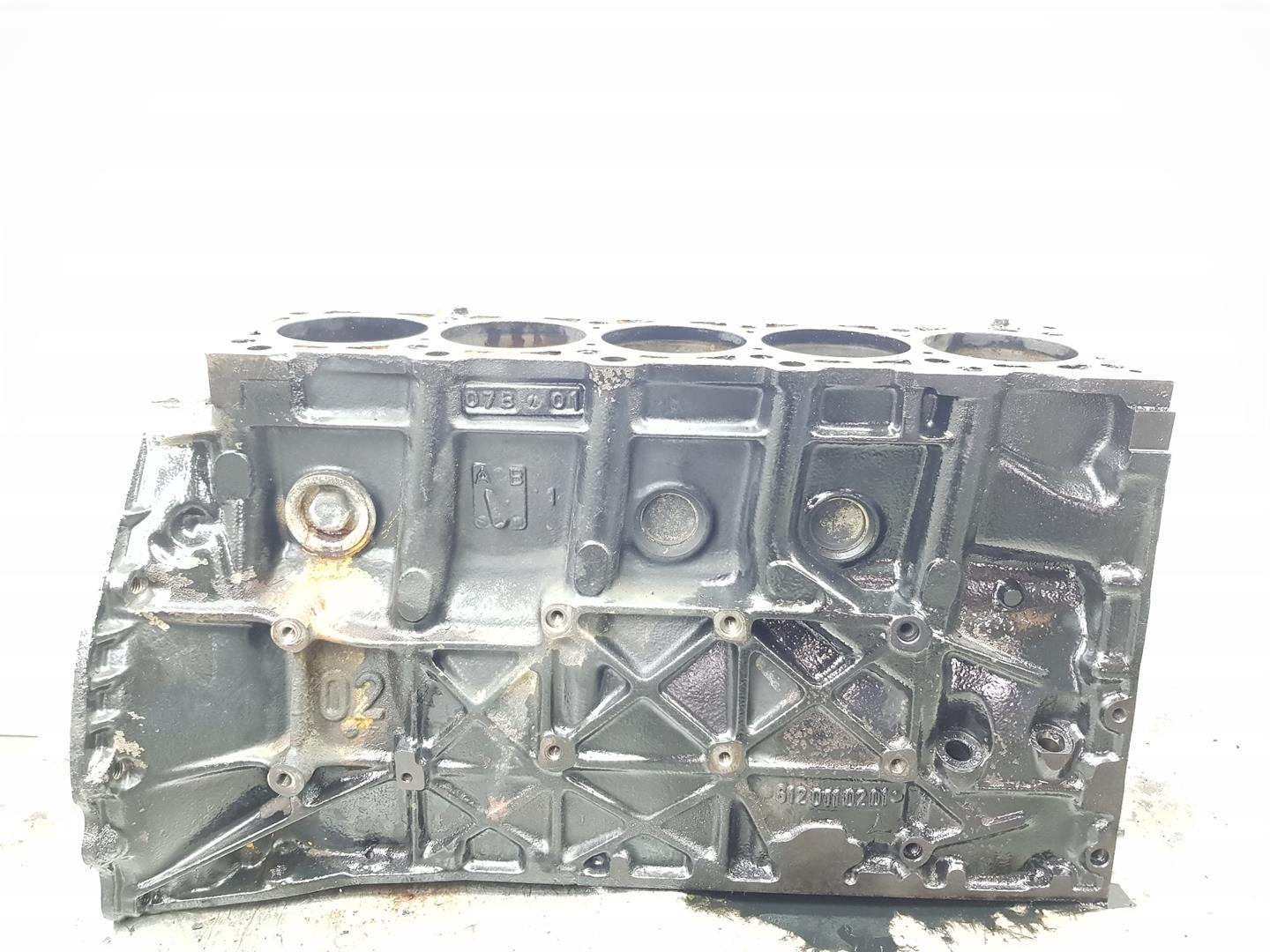 MERCEDES-BENZ M-Class W163 (1997-2005) Engine Block A6120101205, 612963, 1111AA 21075056
