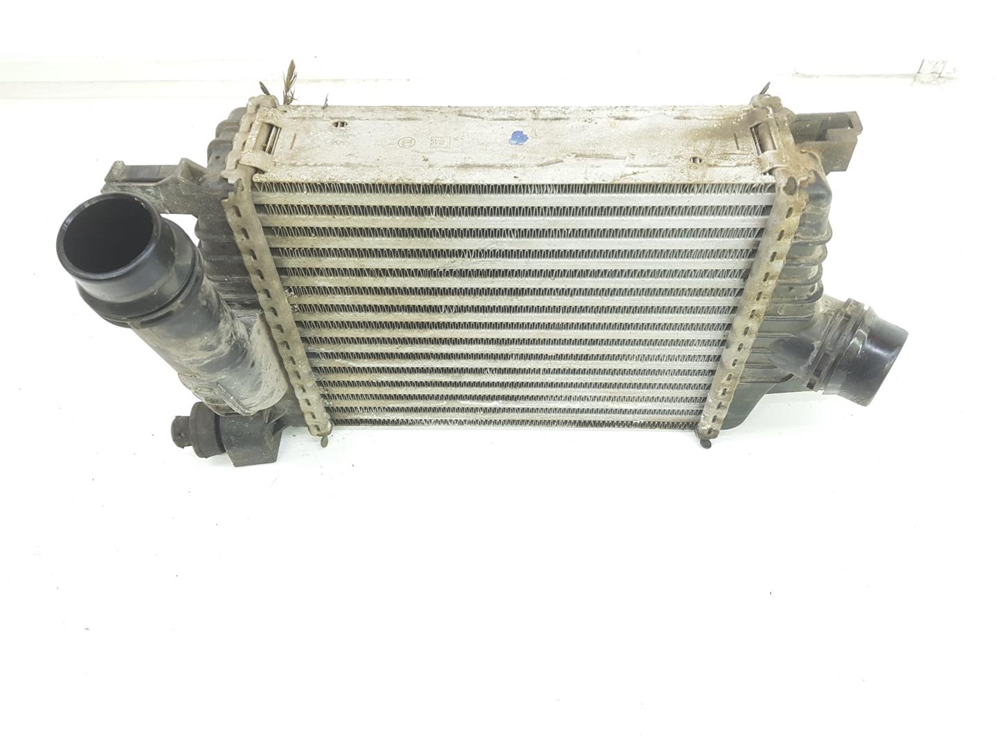 RENAULT Clio 3 generation (2005-2012) Intercooler Radiator 144961381R, 144961381R 19789230