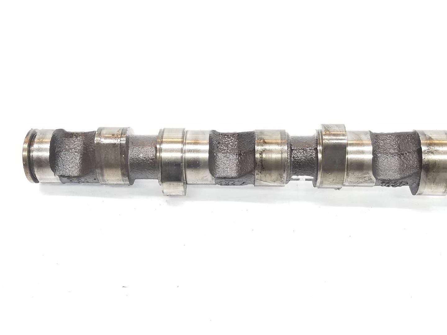 ALFA ROMEO A3 8L (1996-2003) Exhaust Camshaft 059109022BD, 059109022BD 19732370