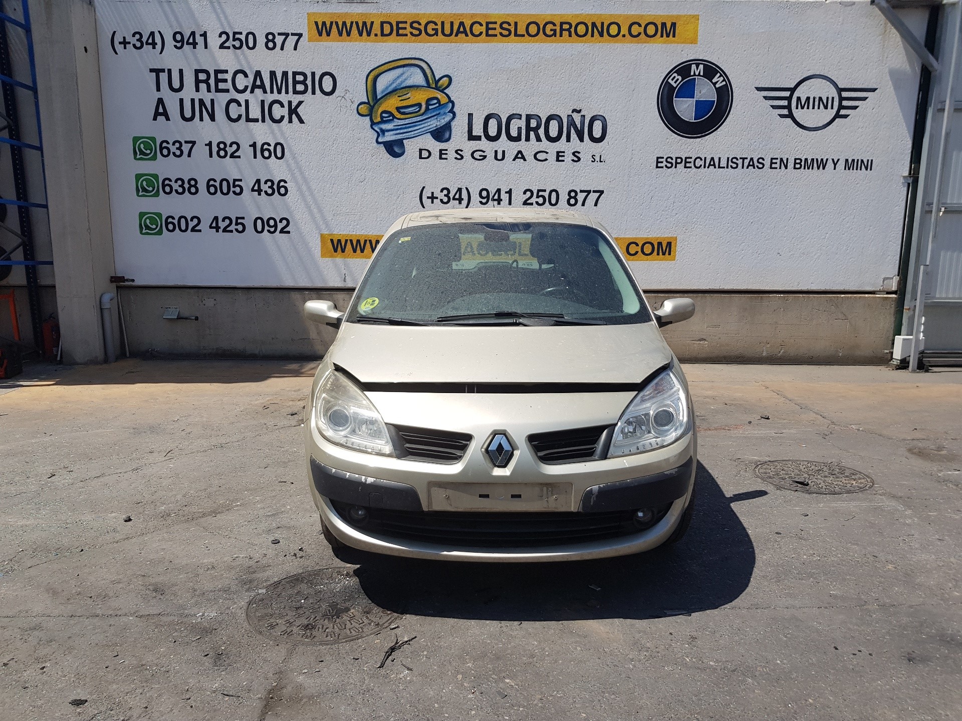 RENAULT Scenic 2 generation (2003-2010) Ліва передня крило 7701474852,8200020568,COLORDORADO 24177082