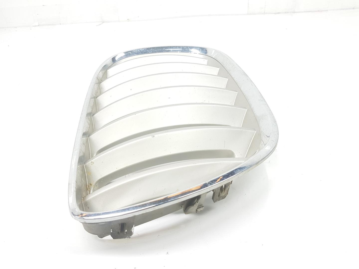 BMW X5 E53 (1999-2006) Radiator Grille 51137113734, 7113734 24175252