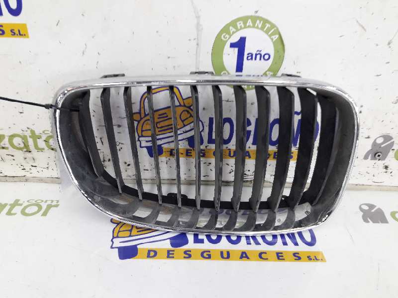 BMW 1 Series E81/E82/E87/E88 (2004-2013) Priekinės dešinės grotelės 51137166440 19619987