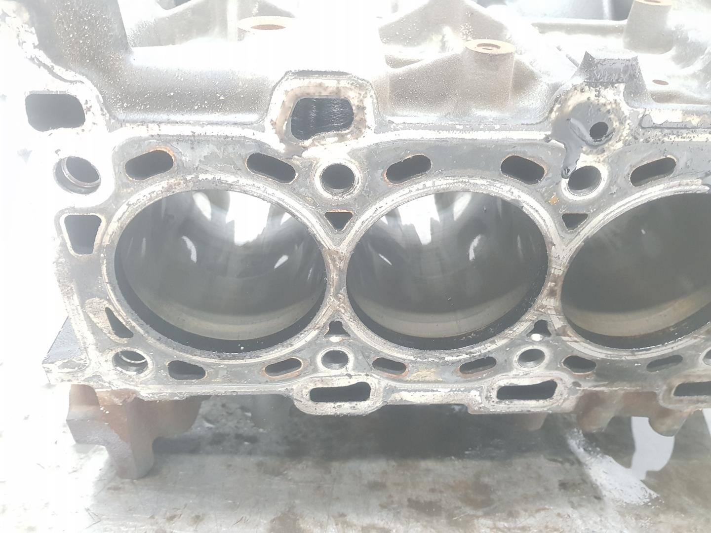 RENAULT G20/G21/G28 (2018-2024) Variklio blokas BLOQUEM9R692, M9R692 24473794