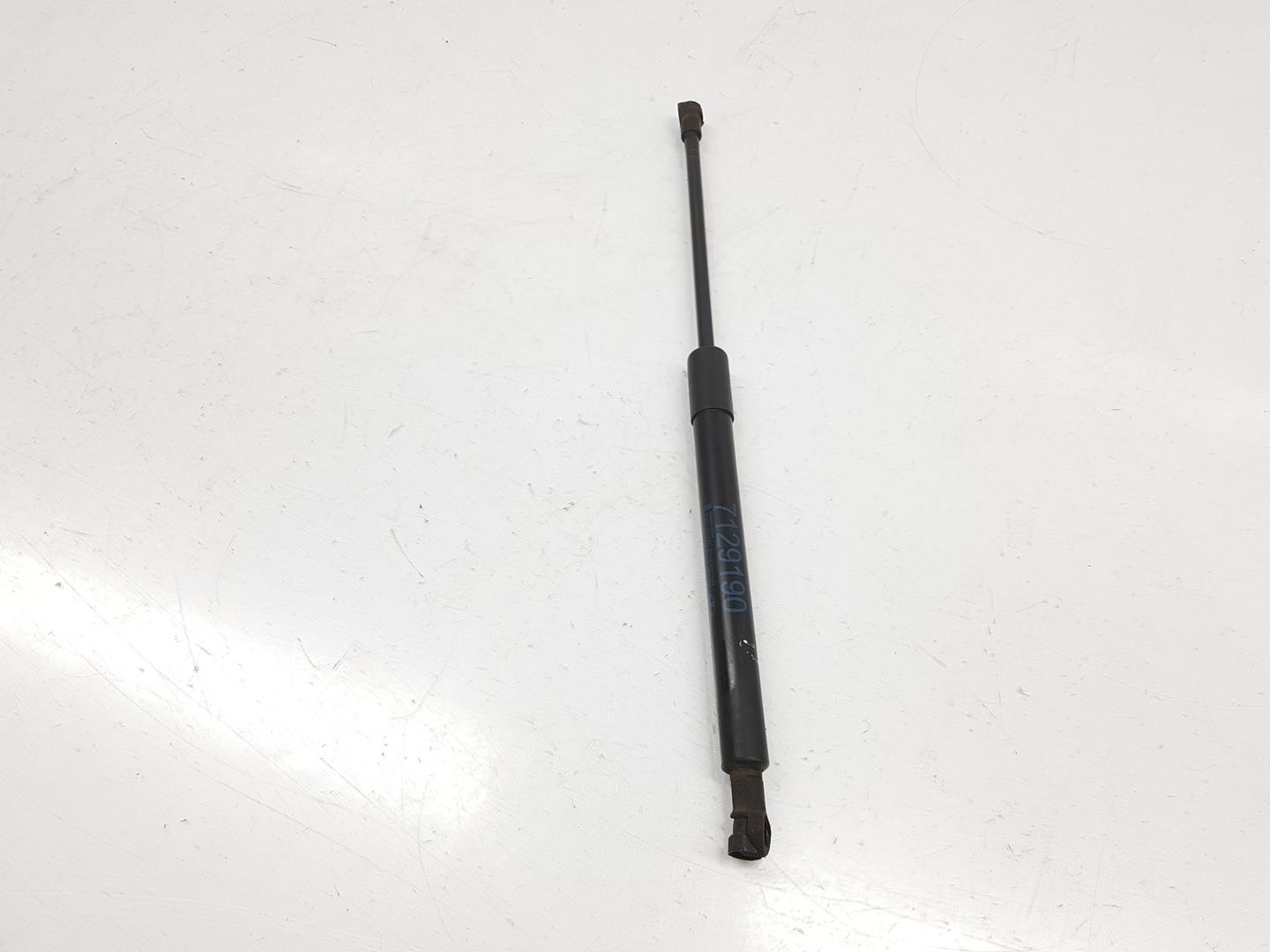 BMW 3 Series E90/E91/E92/E93 (2004-2013) Front Right Bonnet Strut 51237129190,7129190,330N 19924320