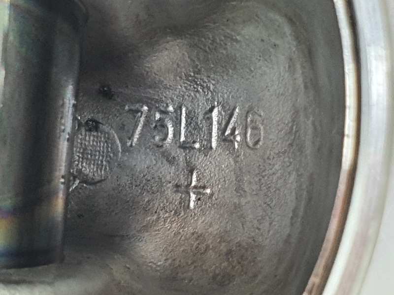 CITROËN Piston 1629032180,1629032180,75L146 19754287