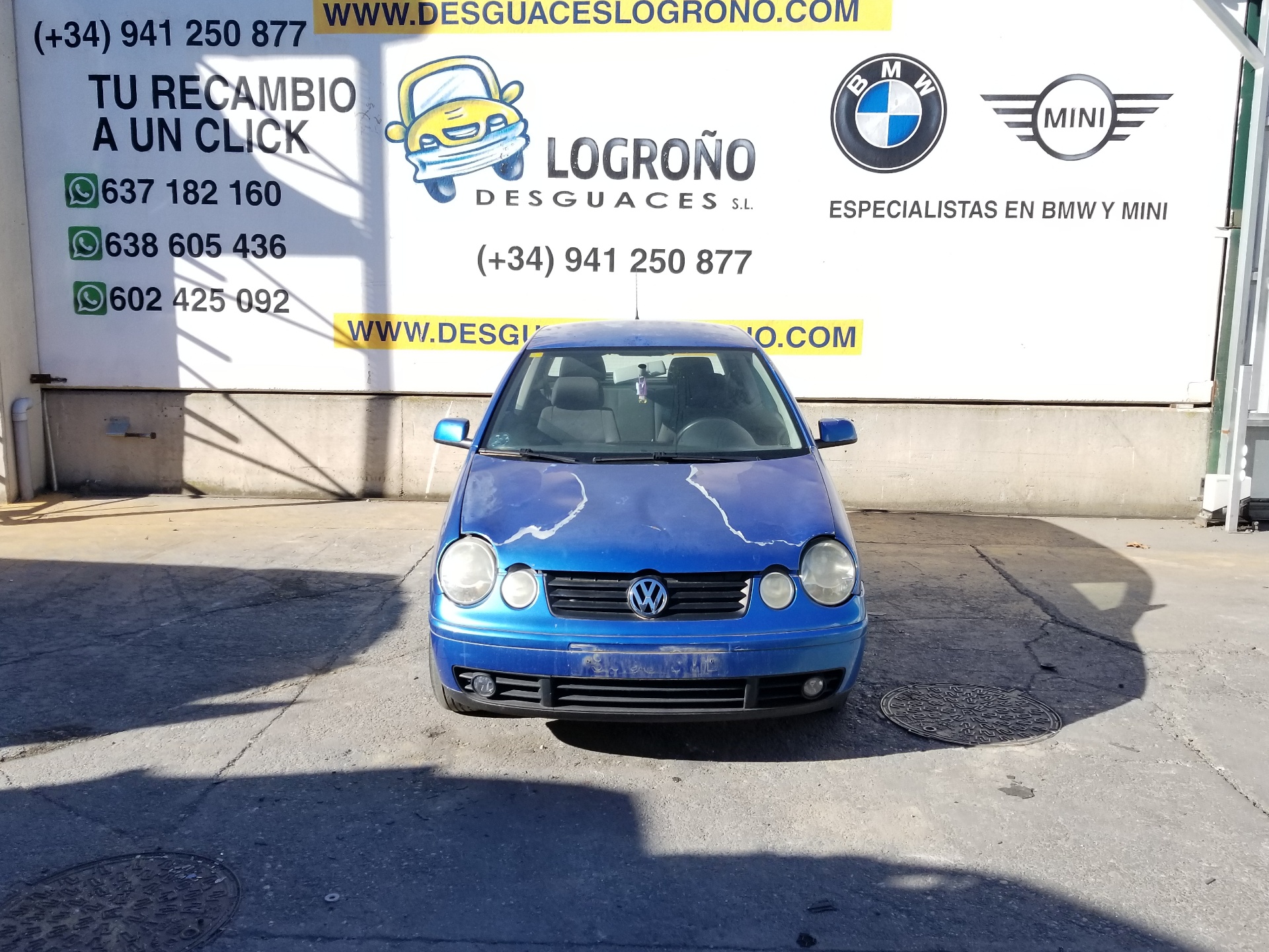 VOLKSWAGEN Polo 4 generation (2001-2009) Блок управления двигателем 036906034DD,036906034DD 24213070