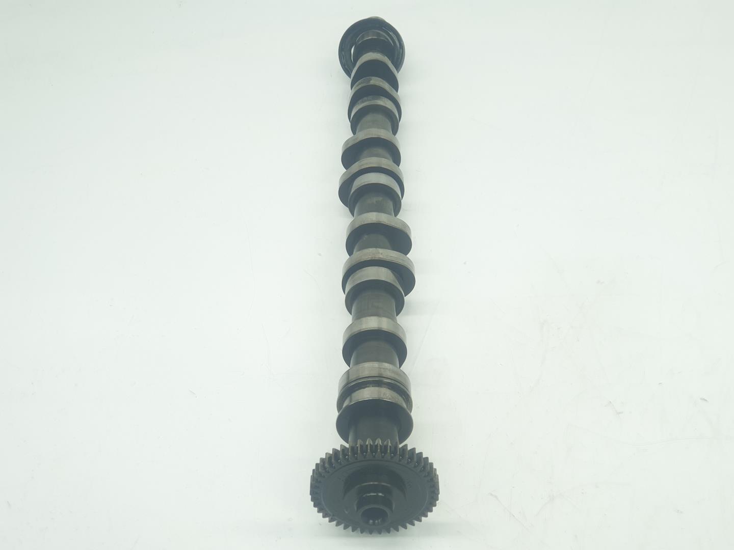 VOLKSWAGEN Tiguan 1 generation (2007-2017) Exhaust Camshaft 03L109022D, 1151CB 22498109