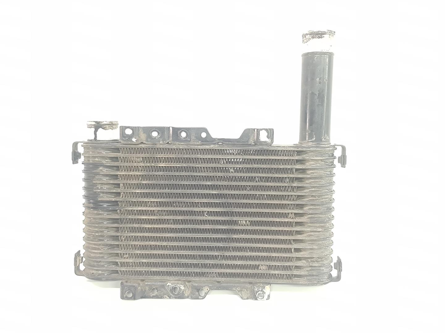 MITSUBISHI Pajero Sport 1 generation (1996-2008) Intercooler Radiator MR239608, MR571357 19905375