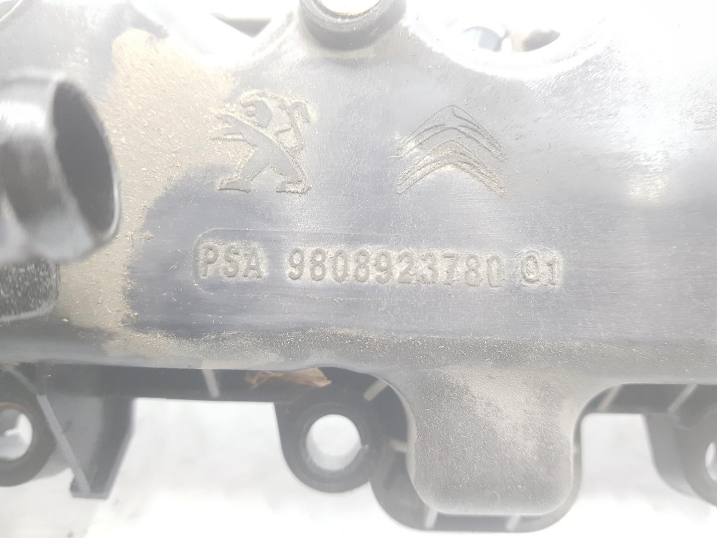 PEUGEOT 208 Peugeot 208 (2012-2015) Крышка клапана 9808923780, 9808923780, 1151CB 19926737