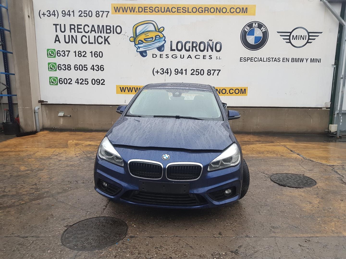 BMW 2 Series Active Tourer F45 (2014-2018) Rear Right Door 41517294232, 7294232, COLORAZULC10 24153773