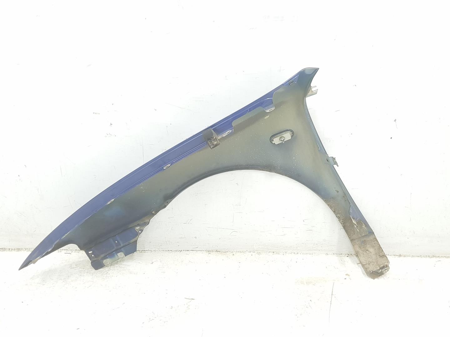 SEAT Toledo 2 generation (1999-2006) Front Right Fender Molding 1M0821022, 1M0821022, COLORAZULIMPERIALS5N 24220157