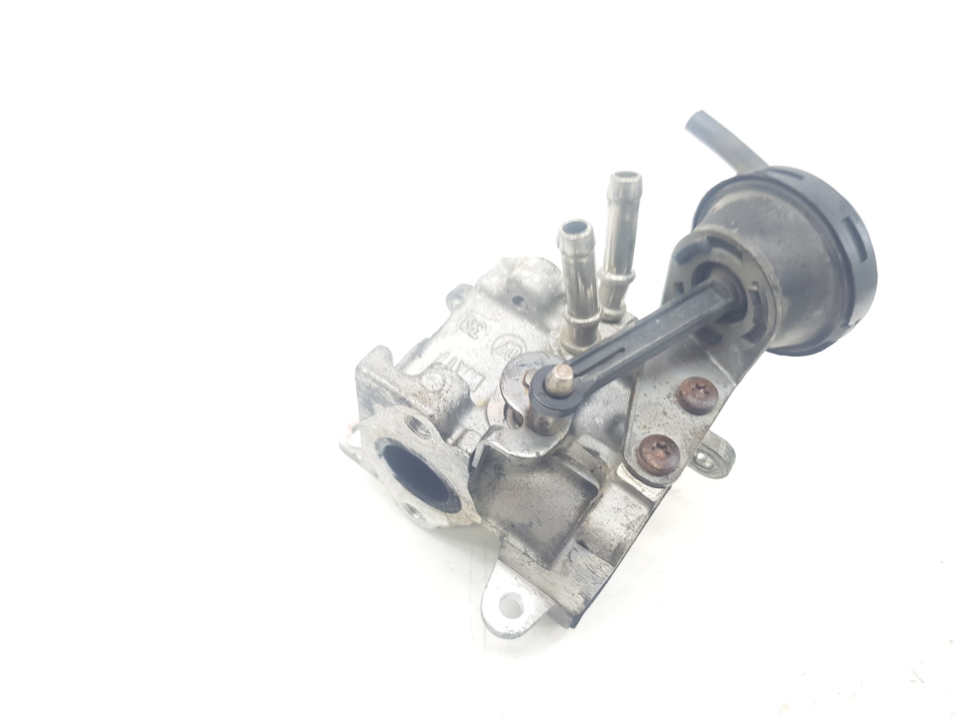 VOLKSWAGEN Touran 1 generation (2003-2015) Клапан EGR 03G131512L,03G131512L,1111AA 27244680