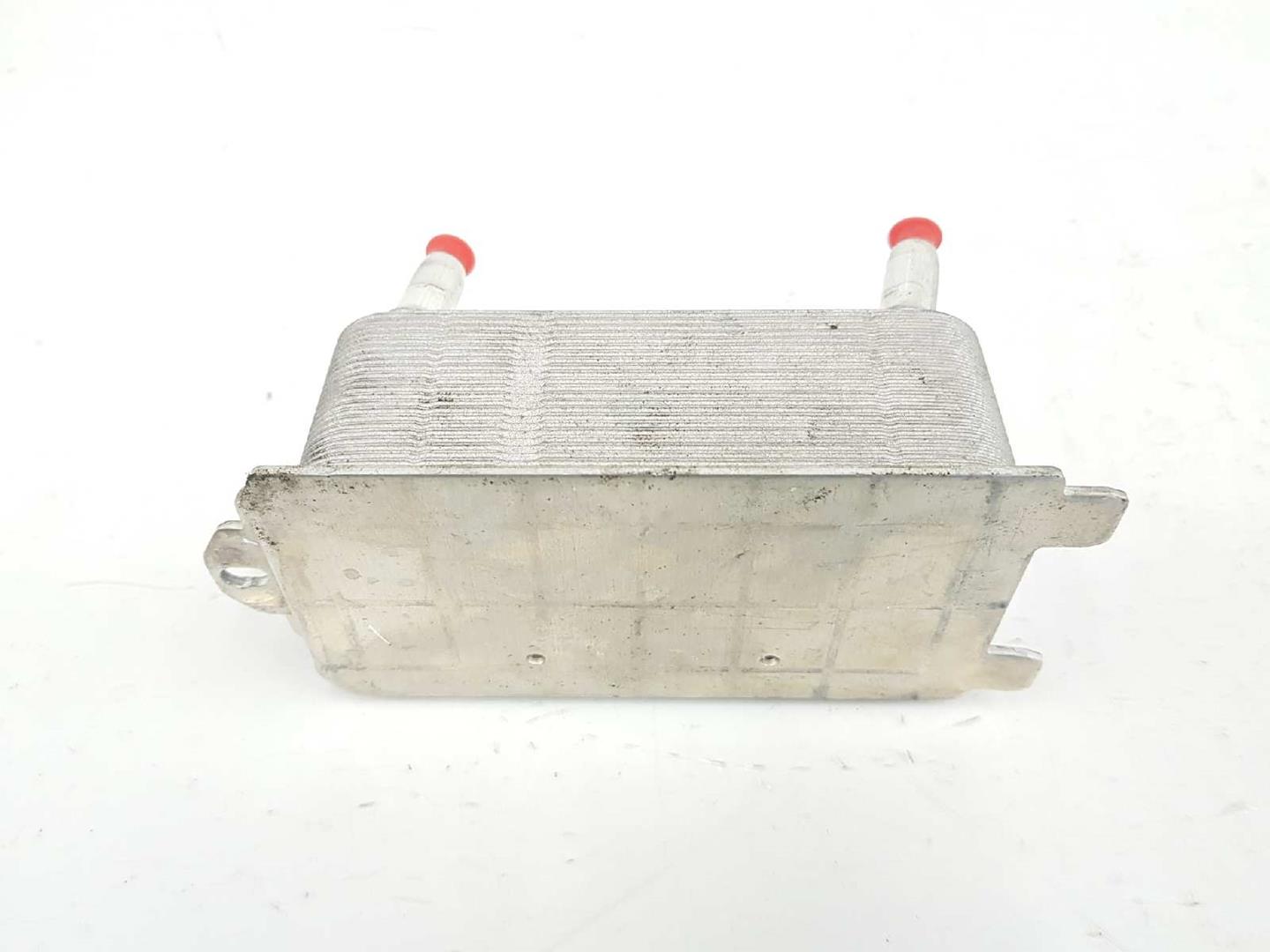 LAND ROVER Range Rover Evoque L538 (1 gen) (2011-2020) Power Steering Radiator AW837A095AA,X6003001,LR036354 19701282