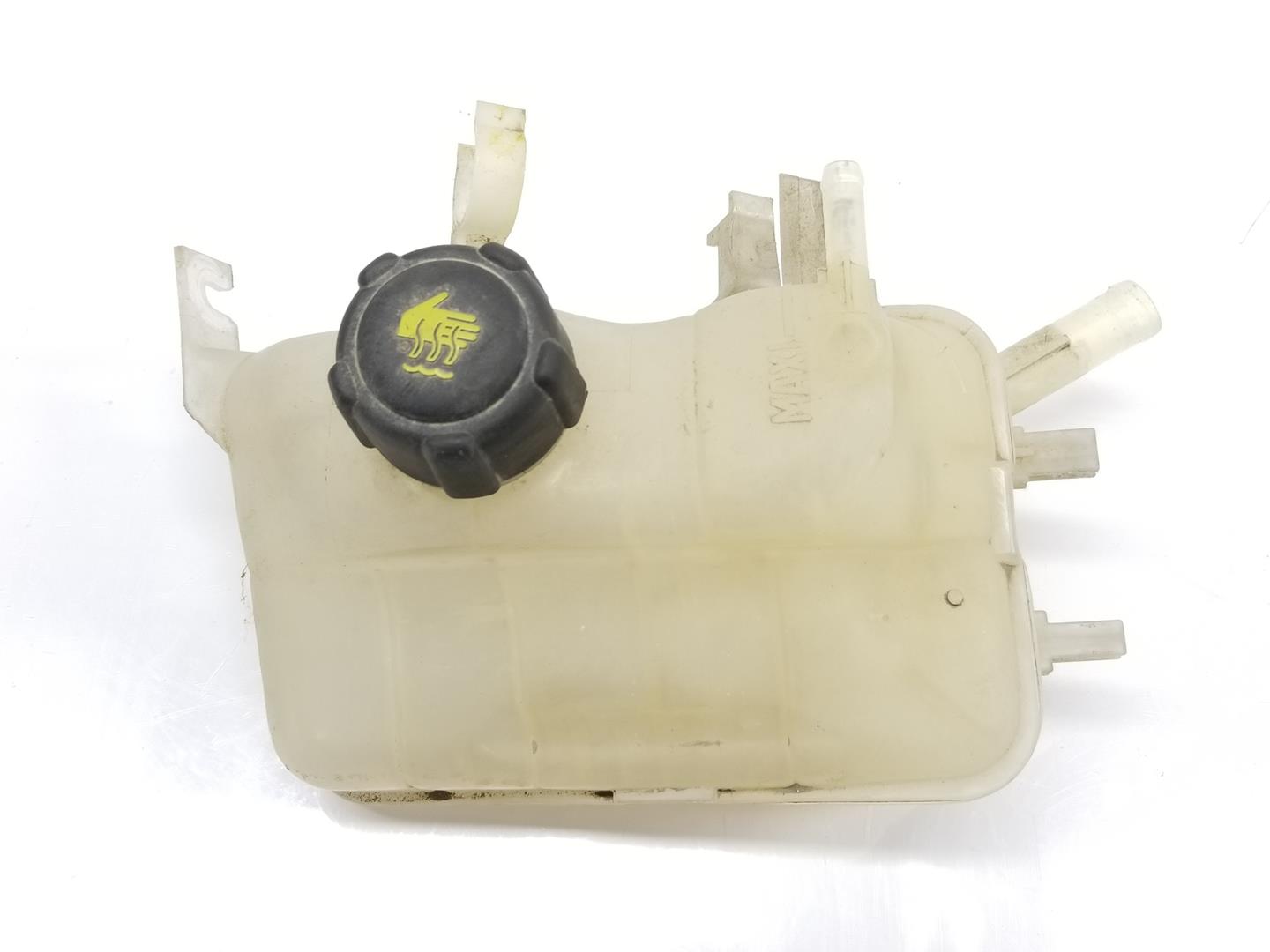 RENAULT Megane 3 generation (2008-2020) Expansion Tank 217100005R,217100005R 19883422