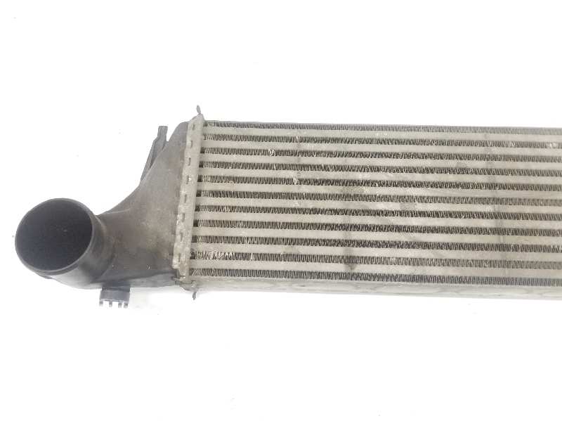 BMW X5 E53 (1999-2006) Intercooler Radiator 17517791231, 17517791231 19645498