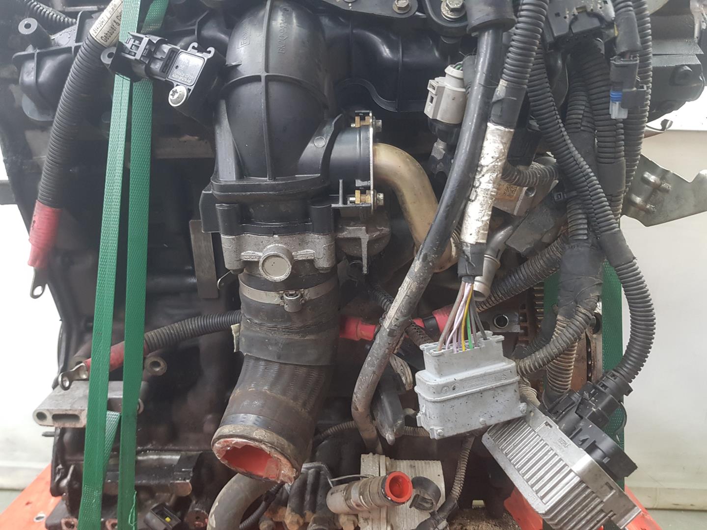 LAMBORGHINI Jumper 3 generation (2006-2024) Dzinējs 4H03,16071264801608902380,1623902980 24551759