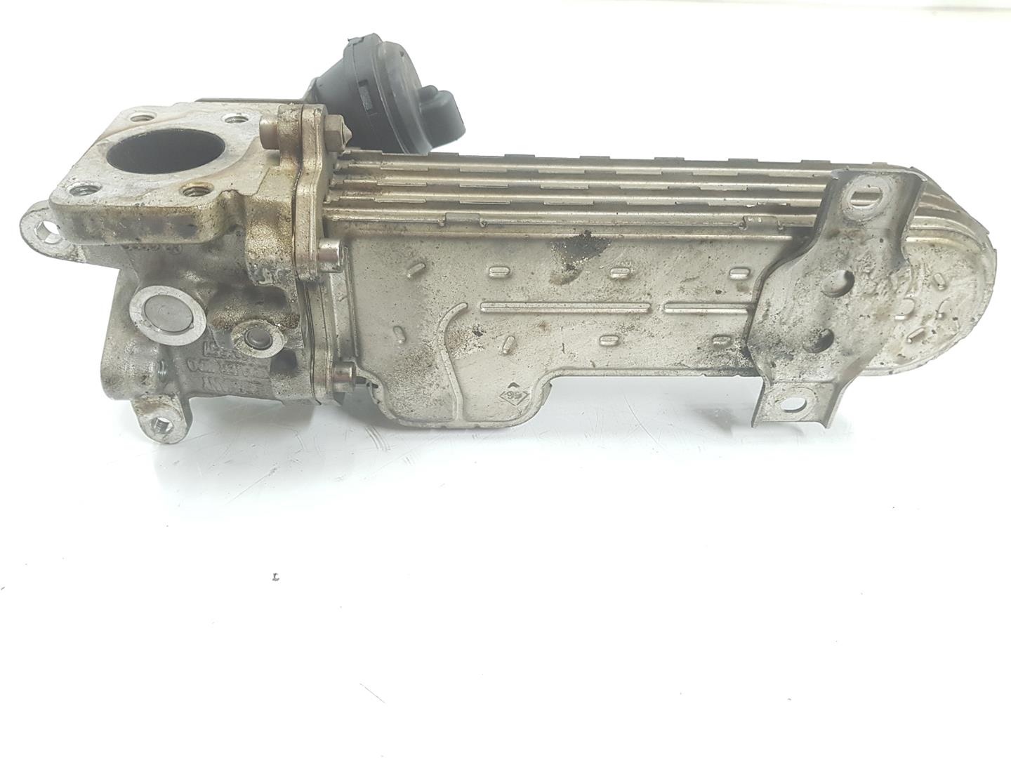 VOLKSWAGEN Passat B6 (2005-2010) EGR Cooler 03G131513J,03G131512L 23752270