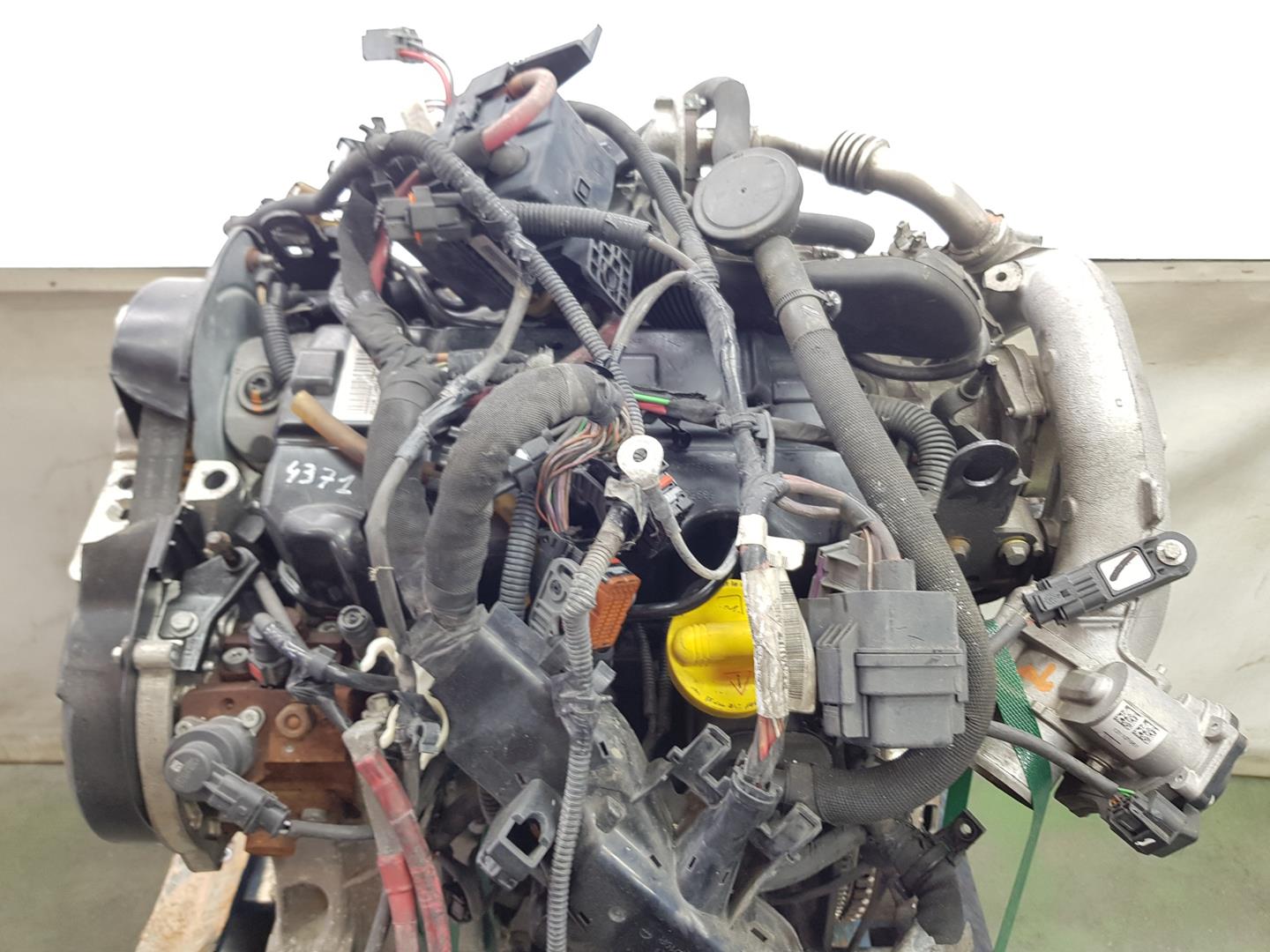 HYUNDAI i20 PB (1 generation) (2008-2014) Engine F9Q872 25557259