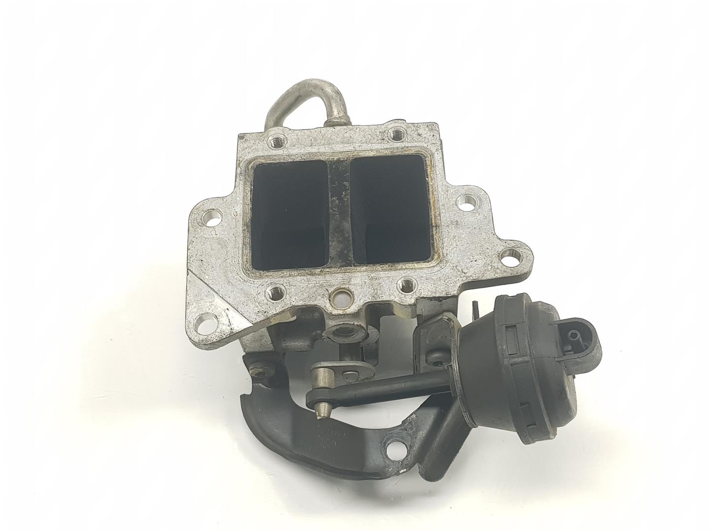 VOLKSWAGEN Passat B6 (2005-2010) EGR Valve 03G131063E, 038131512H 23539554