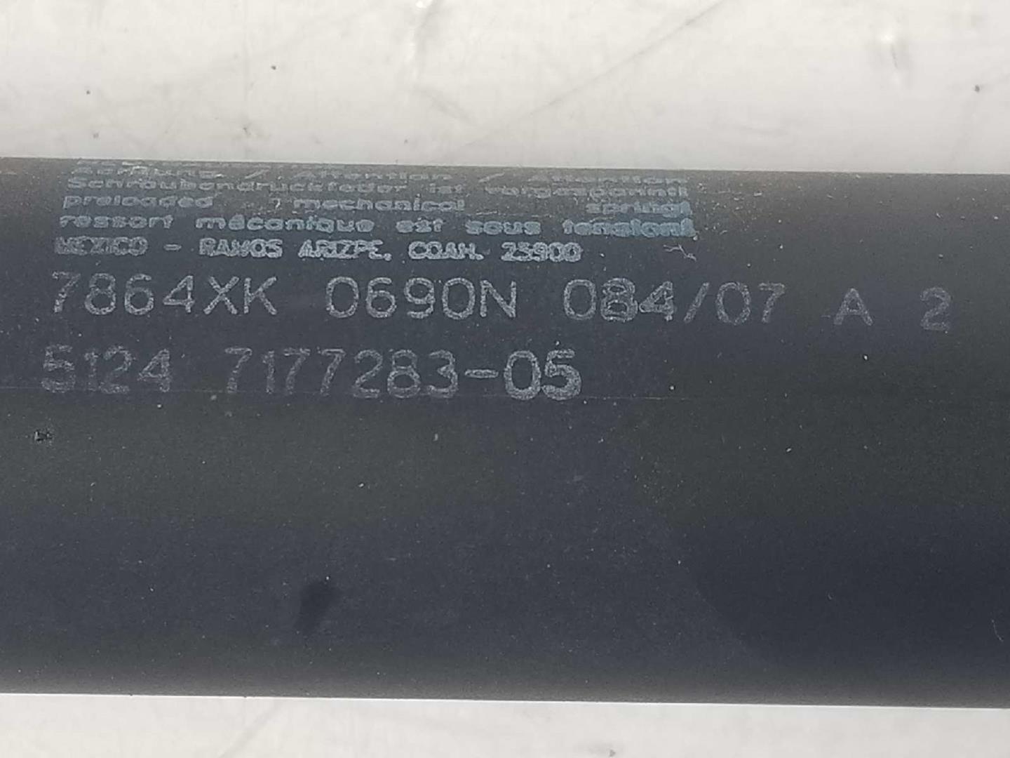 BMW X6 E71/E72 (2008-2012) Aizmugurējā bagāžnieka amartizātors kreisajā pusē 51247177283,7864XK0690N,51247294199 19891425