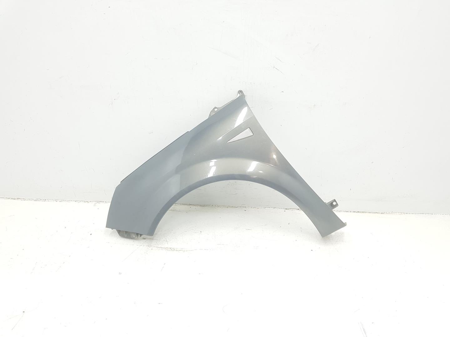 RENAULT Scenic 2 generation (2003-2010) Front Left Fender 7701474852, 7701474852, COLORGRISOSCURO 20869501