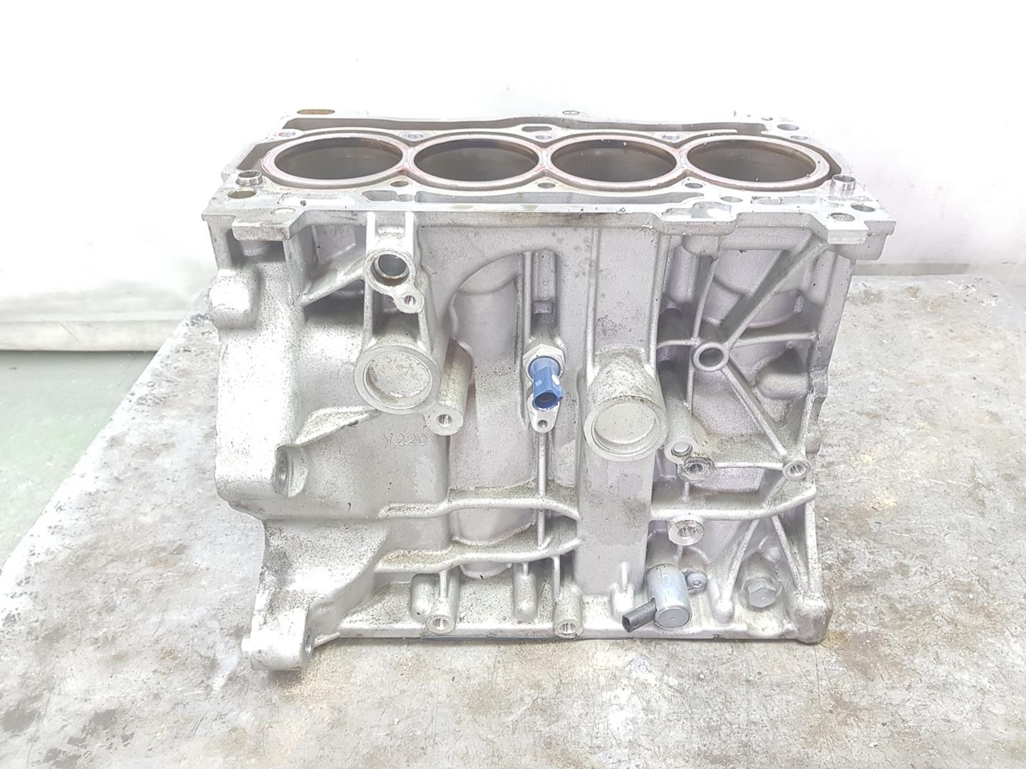 SEAT Leon 3 generation (2012-2020) Engine Block BLOQUECZE,CZEA,1151CB 21576074