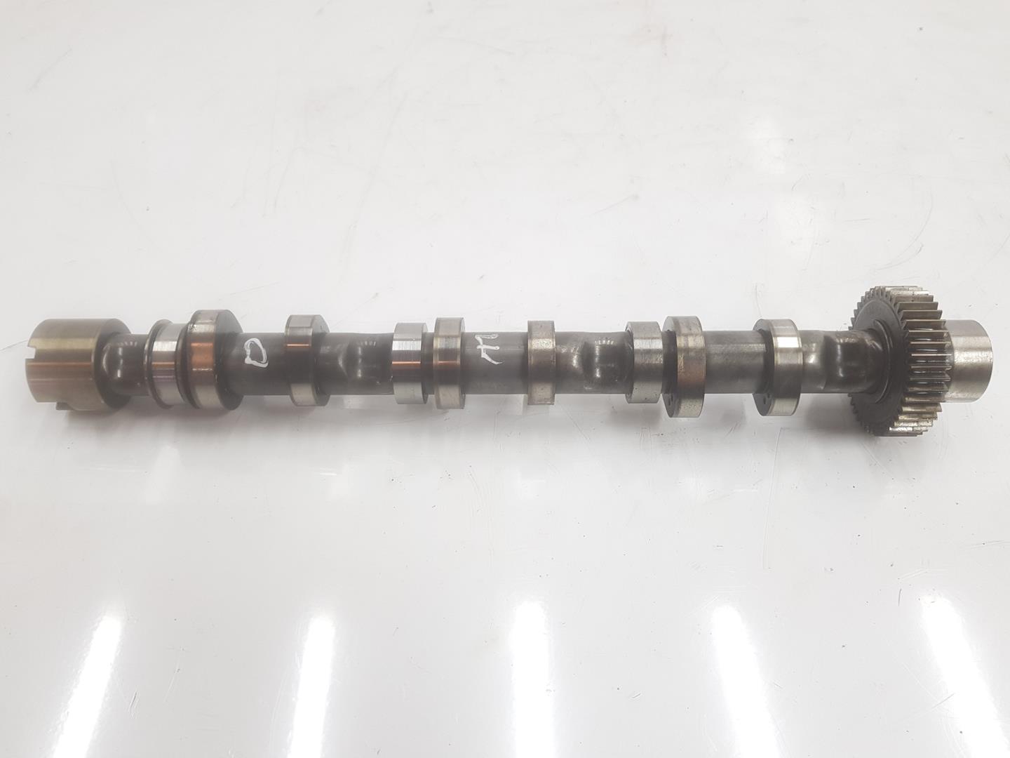 AUDI A5 8T (2007-2016) Exhaust Camshaft 059109022BE, 059109022BE 23751529