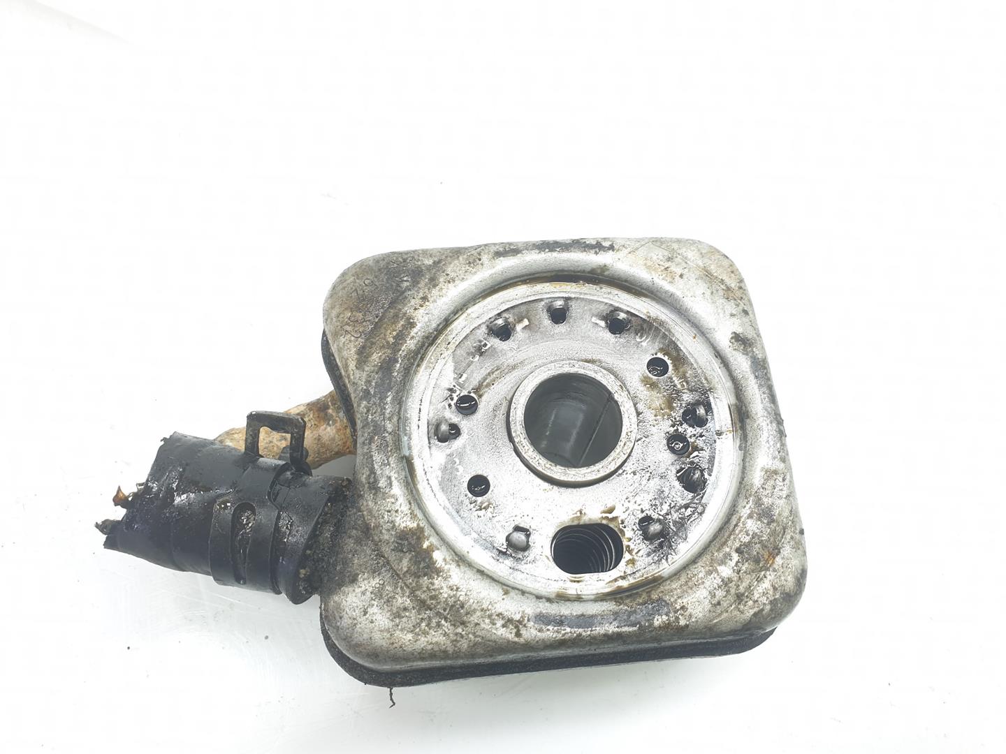 SEAT Ibiza 3 generation (2002-2008) Olajhűtő 028117021L, 028117021L, 1141CB 25100148