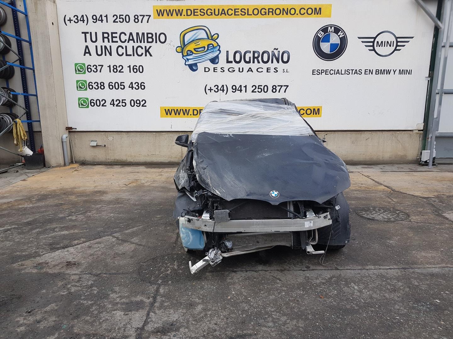 BMW X1 F48/F49 (2015-2023) Išsiplėtimo bakelis 17138687503, 8687503 24154585