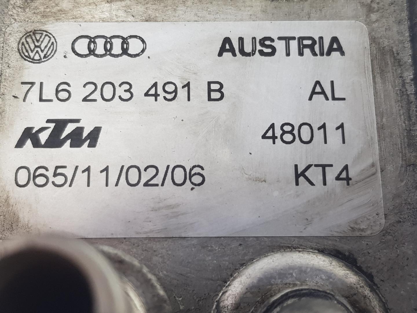 AUDI Q7 4L (2005-2015) Другие части внутренние двигателя 7L6203491B, 7L6203491B 19935951