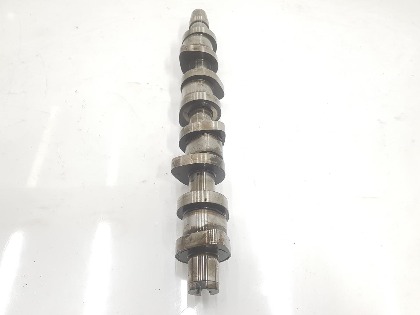 VOLKSWAGEN Passat B5 (1996-2005) Exhaust Camshaft 038109101R, 038109101R 23895547