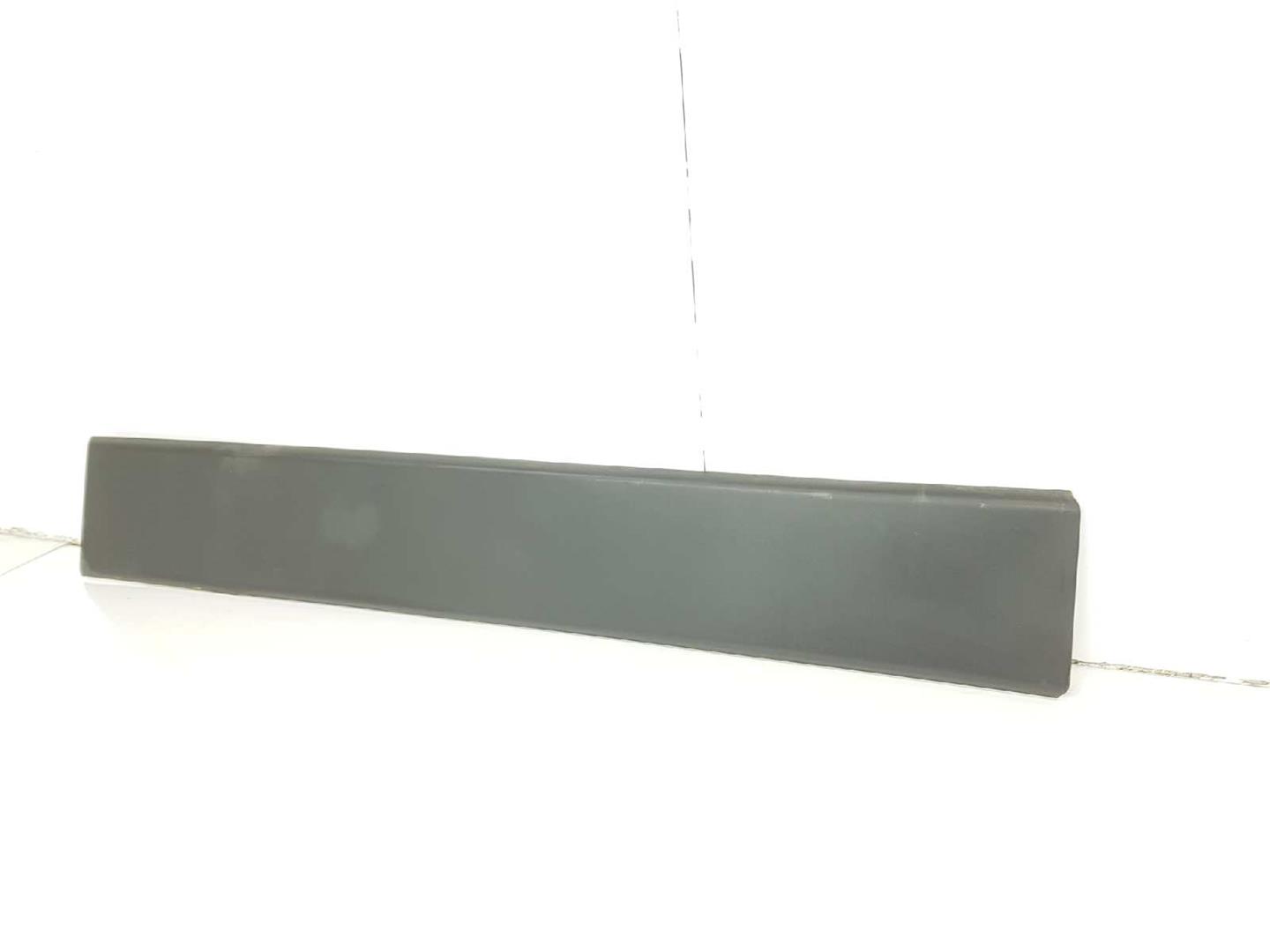 FIAT Ducato 3 generation (2006-2024) Left Side Sliding Door Molding 1307165070, 1307165070 19731005