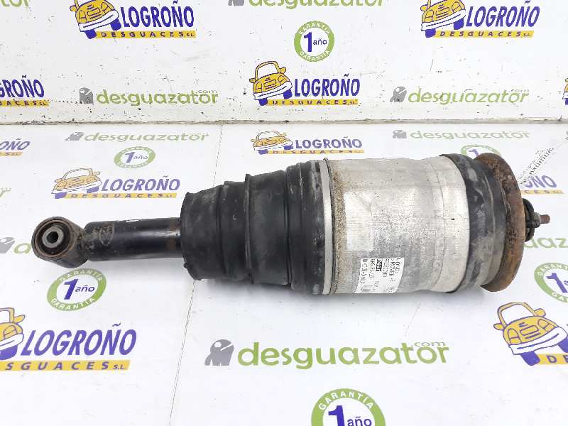 LAND ROVER Discovery 4 generation (2009-2016) Rear Left Shock Absorber RPD500880, RPD501090, 22241481 19892742