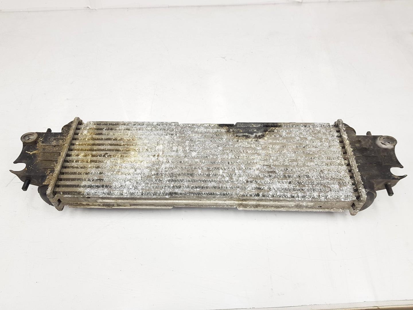 RENAULT Trafic Intercooler Radiator 91166035,7700312903 19801827