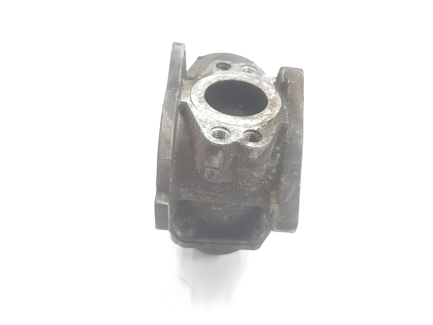 VOLKSWAGEN Passat B6 (2005-2010) EGR Valve 15070724, 03G131501P 23753145