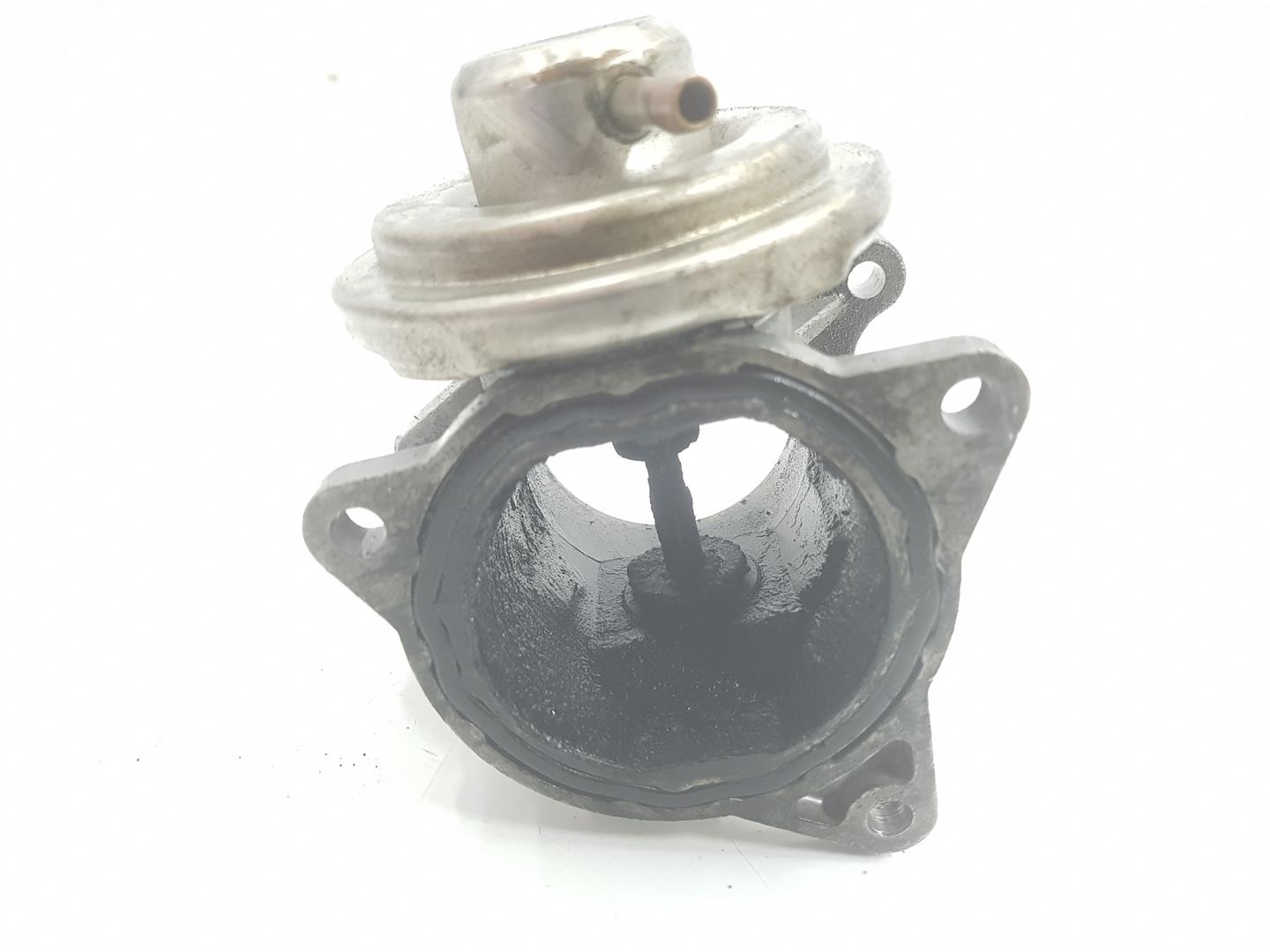 SEAT Toledo 3 generation (2004-2010) EGR Valve 038129637D, 038131501AN 23750397