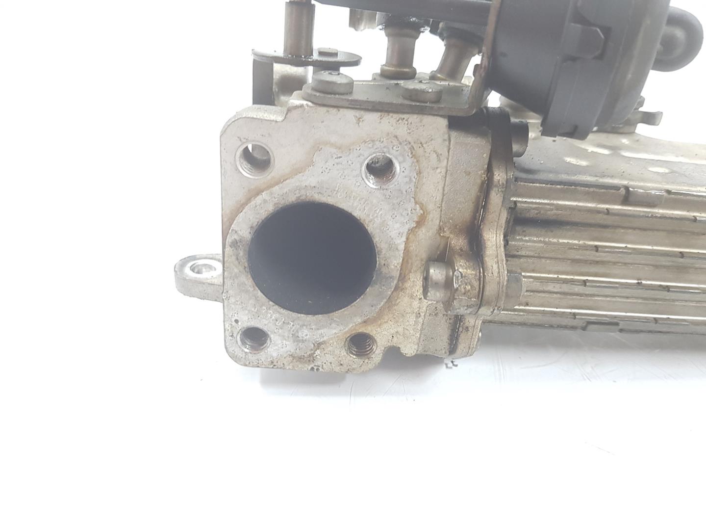 VOLKSWAGEN Passat B6 (2005-2010) Chladič EGR 03G131513J,03G131512L 23752270