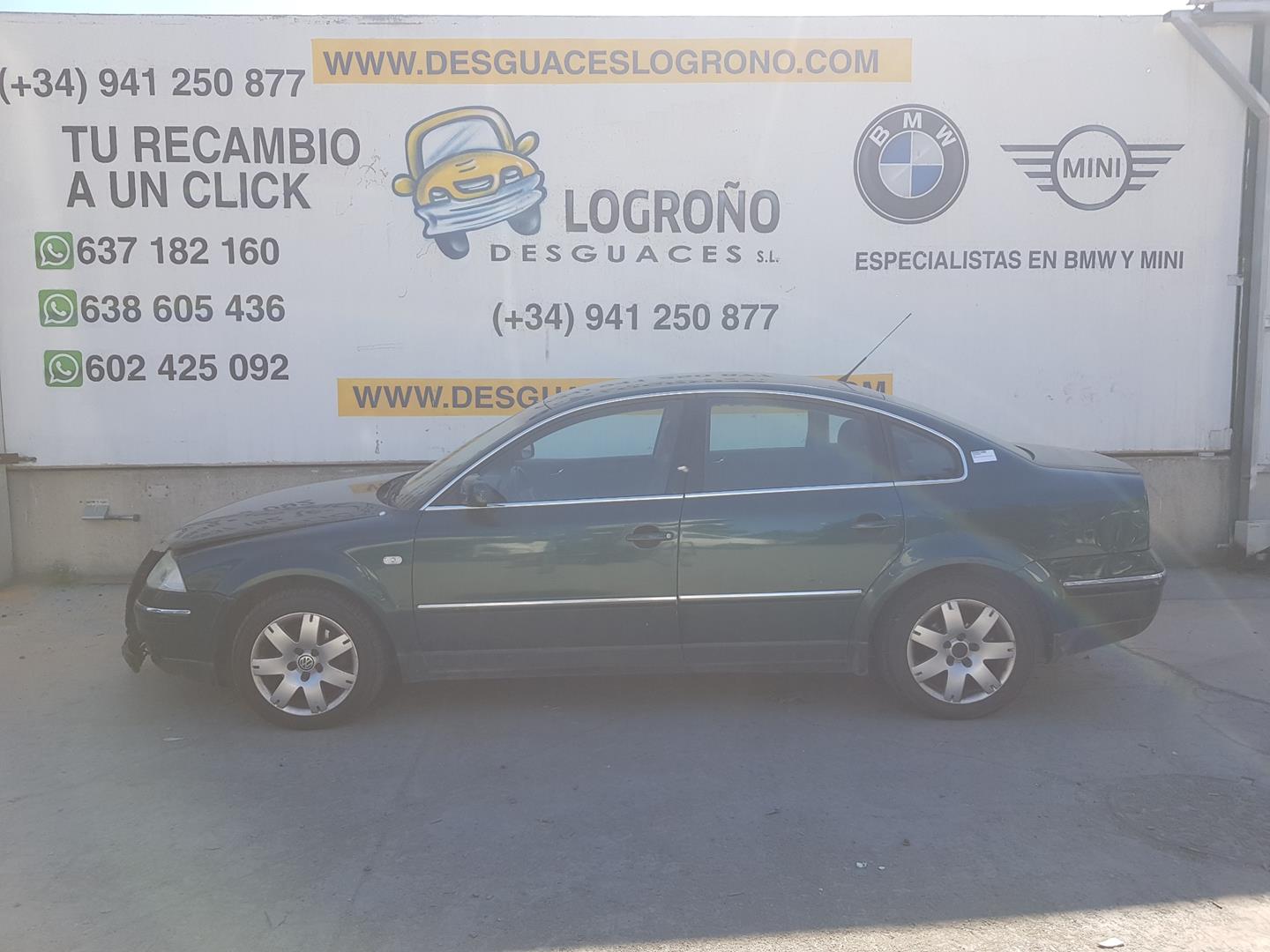 VOLKSWAGEN Passat B5 (1996-2005) Передняя правая дверь 3B4831052BE,3B4831052BE,VERDE9Y/B6W 19818143