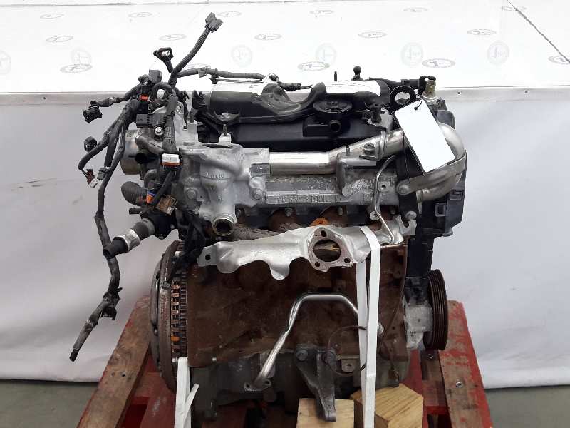 NISSAN Qashqai 2 generation (2013-2023) Engine K9K646 19643049