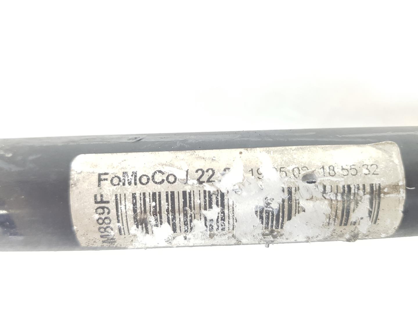FORD Focus RS Стабилизатор задний 1619913, 1619913 24869935