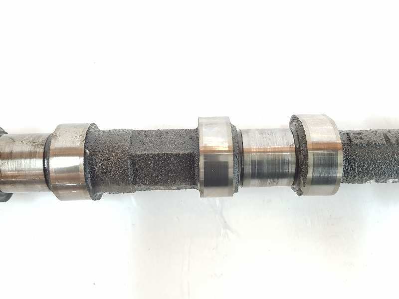 RENAULT 3 Series E46 (1997-2006) Exhaust Camshaft 11312249514,2249541,11312249514 19686431