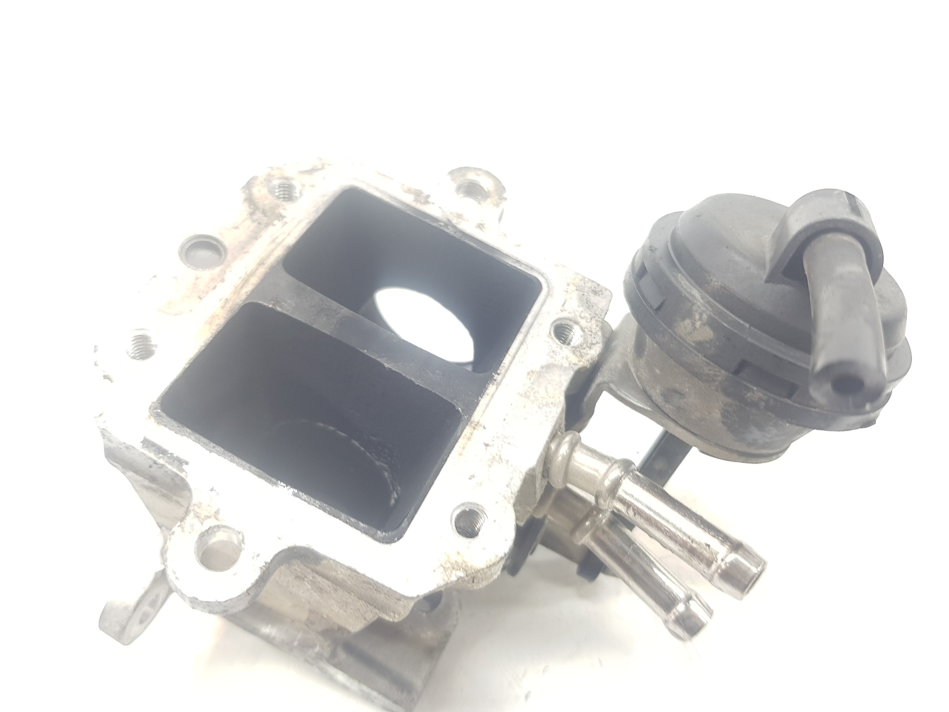 VOLKSWAGEN Touran 1 generation (2003-2015) Клапан EGR 03G131512L,03G131512L,1111AA 27244680