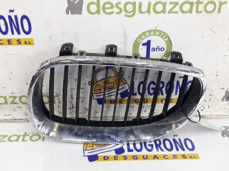 BMW X5 E53 (1999-2006) Front Right Grill 51137128613, 7128613 19620013