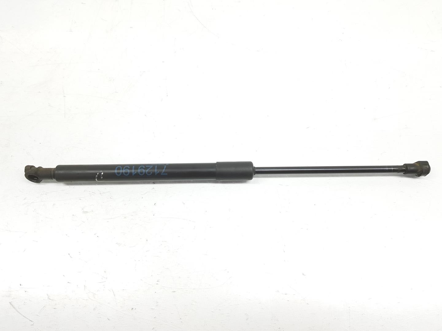 BMW 3 Series E90/E91/E92/E93 (2004-2013) Front Right Bonnet Strut 51237129190,7129190,330N 19924320