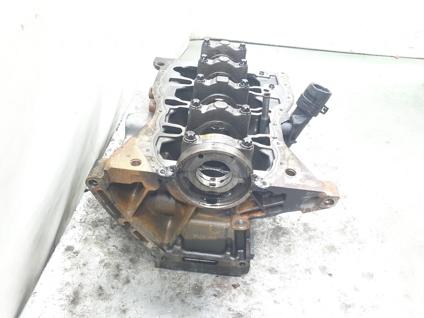 DACIA Duster 1 generation (2010-2017) Engine Block 19733R, 110108501R, 1111AA 24676117