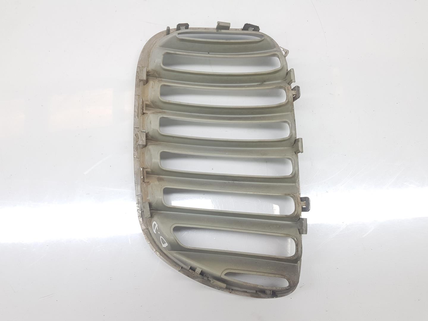 BMW X5 E53 (1999-2006) Radiator Grille 51137113734, 7113734 24175252