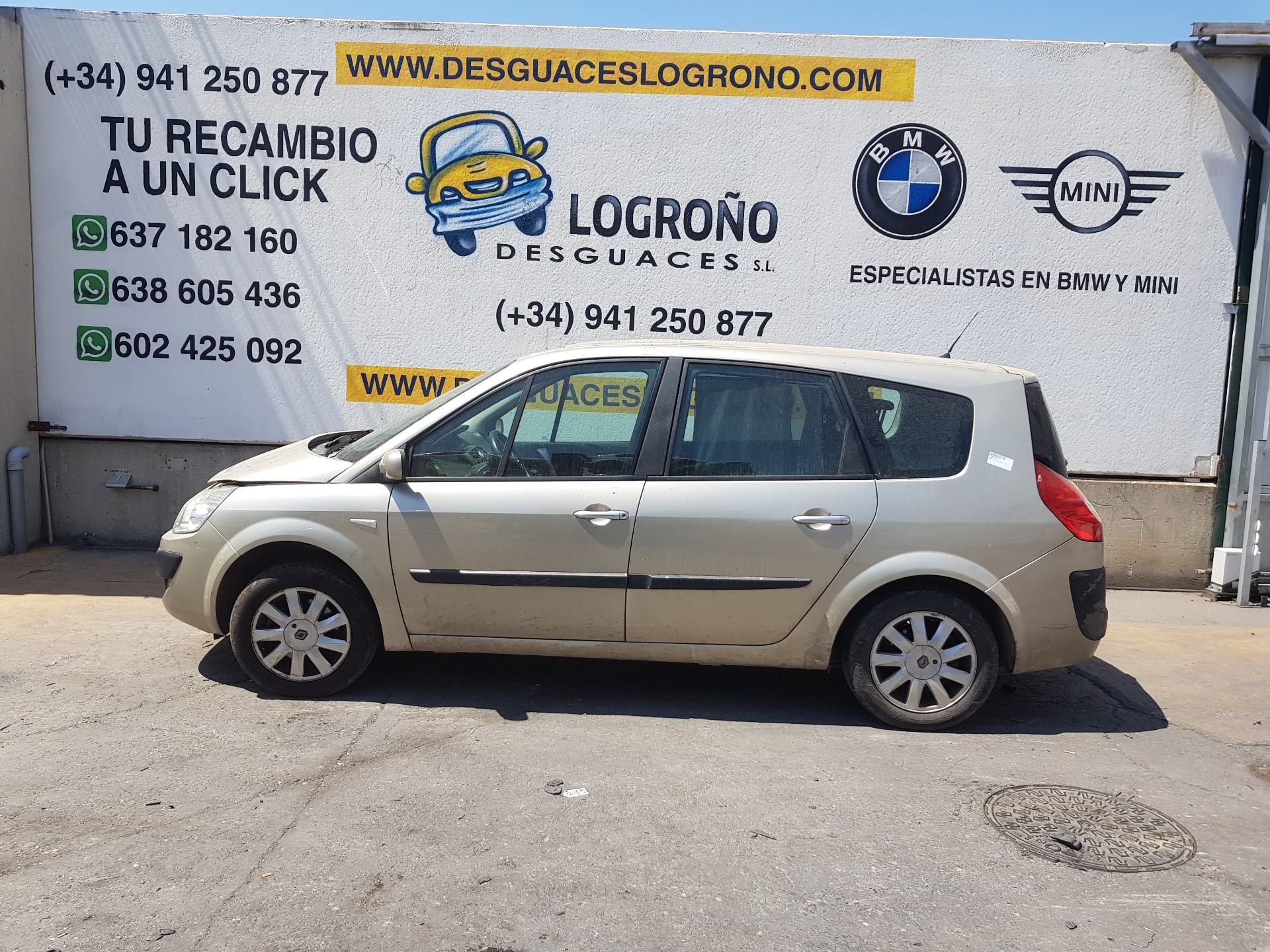 RENAULT Scenic 2 generation (2003-2010) Ліва передня крило 7701474852,8200020568,COLORDORADO 24177082