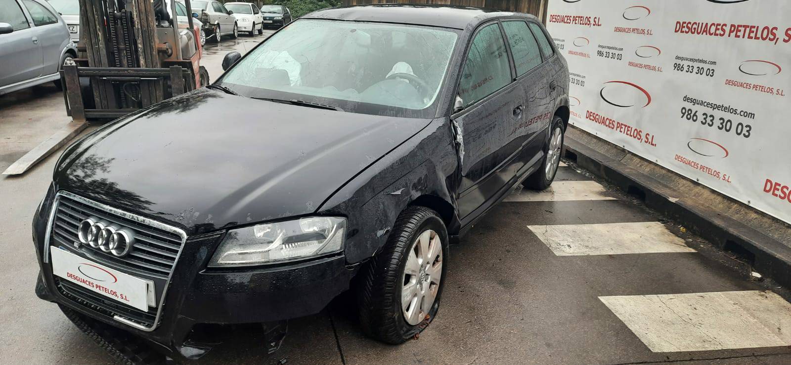 AUDI A3 8P (2003-2013) Galinių dešinių durų stiklo pakelėjo varikliukas 8P4959802F 26411006