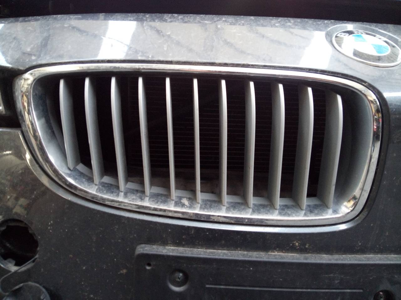 BMW 4 Series F32/F33/F36 (2013-2020) Priekinės radiatoriaus grotelės 24402079