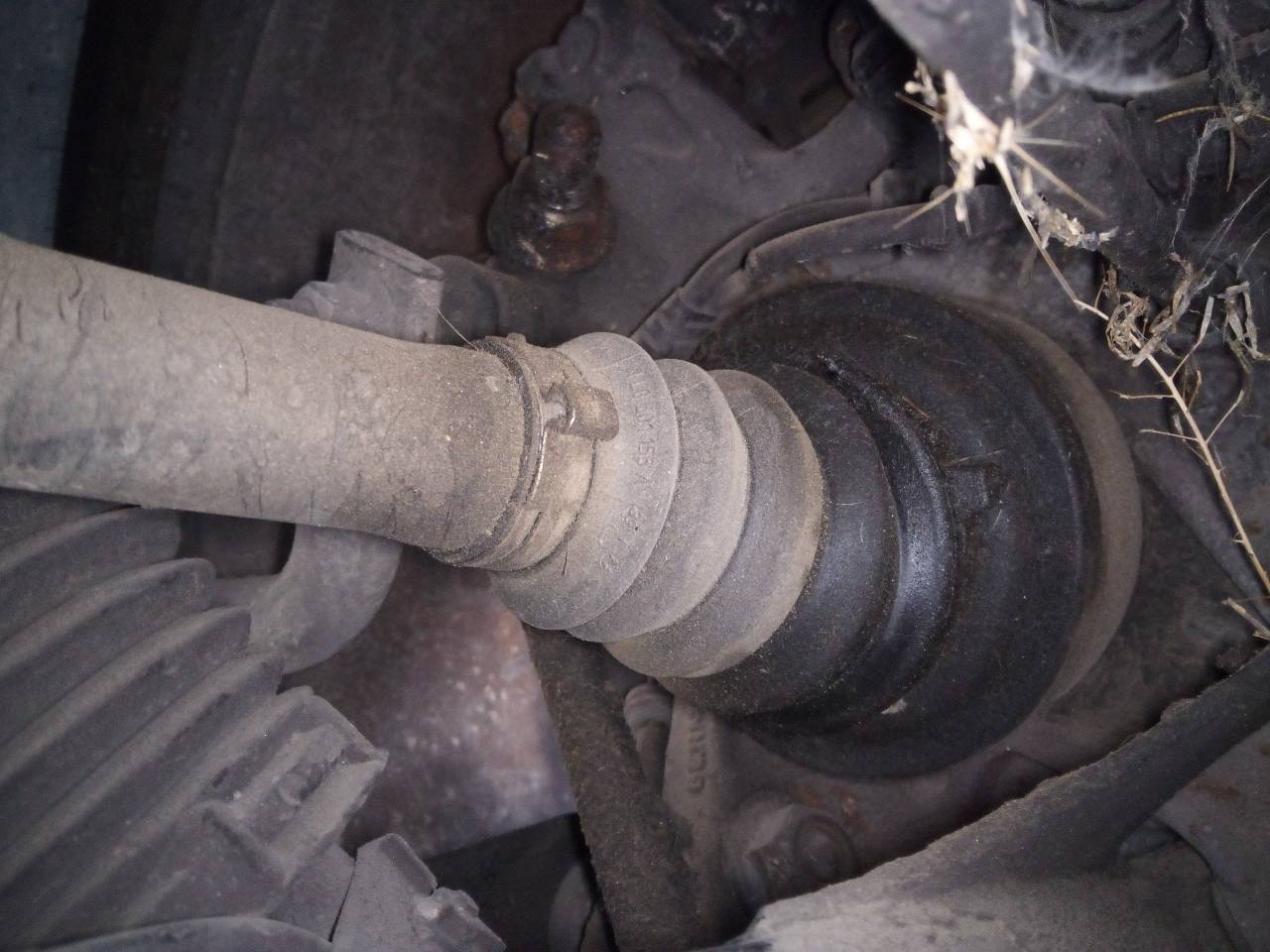 VOLKSWAGEN Touareg 1 generation (2002-2010) Arbre de transmission arrière gauche 20955571